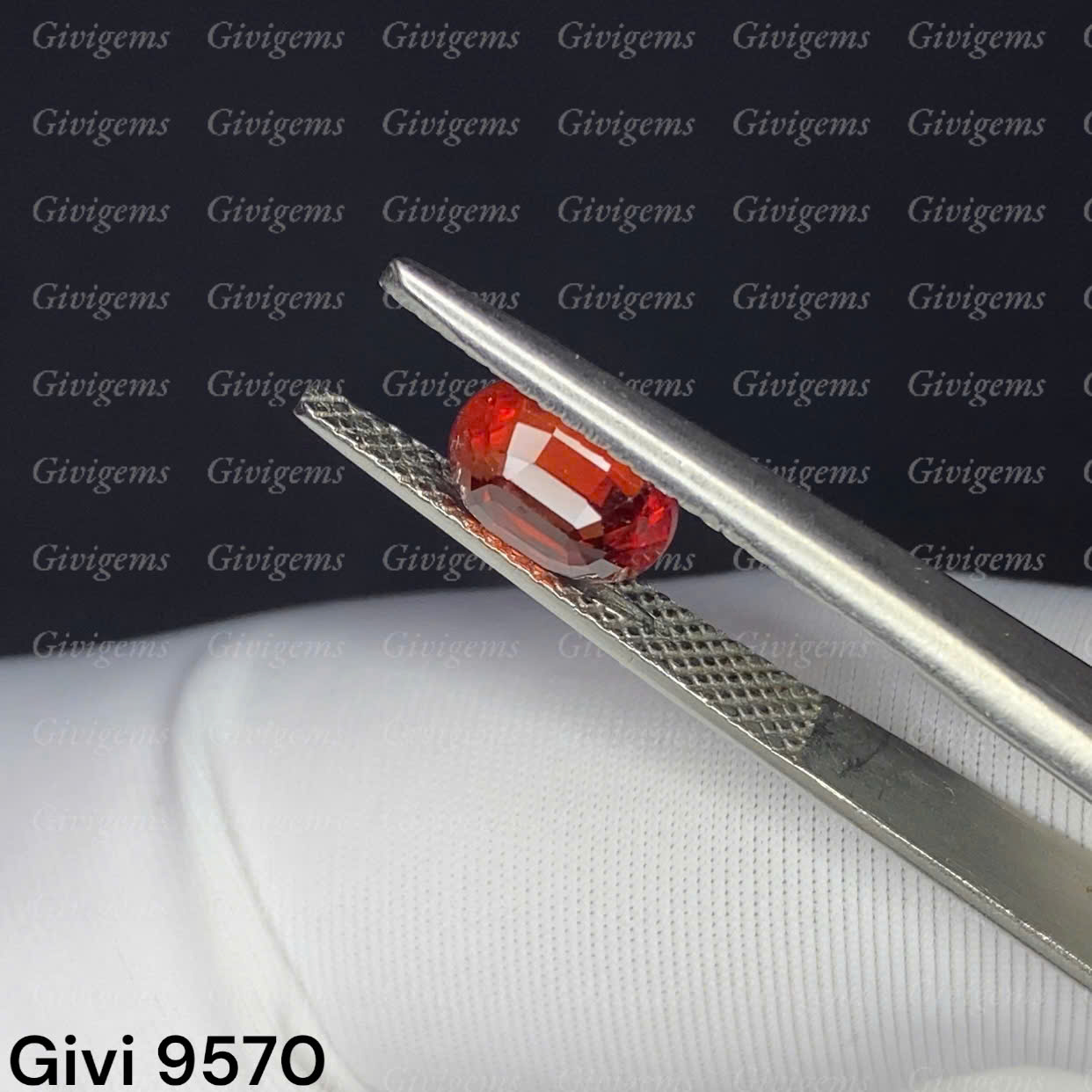 z7154124917503_082ae2a245382ab47e5f57c763392c2c