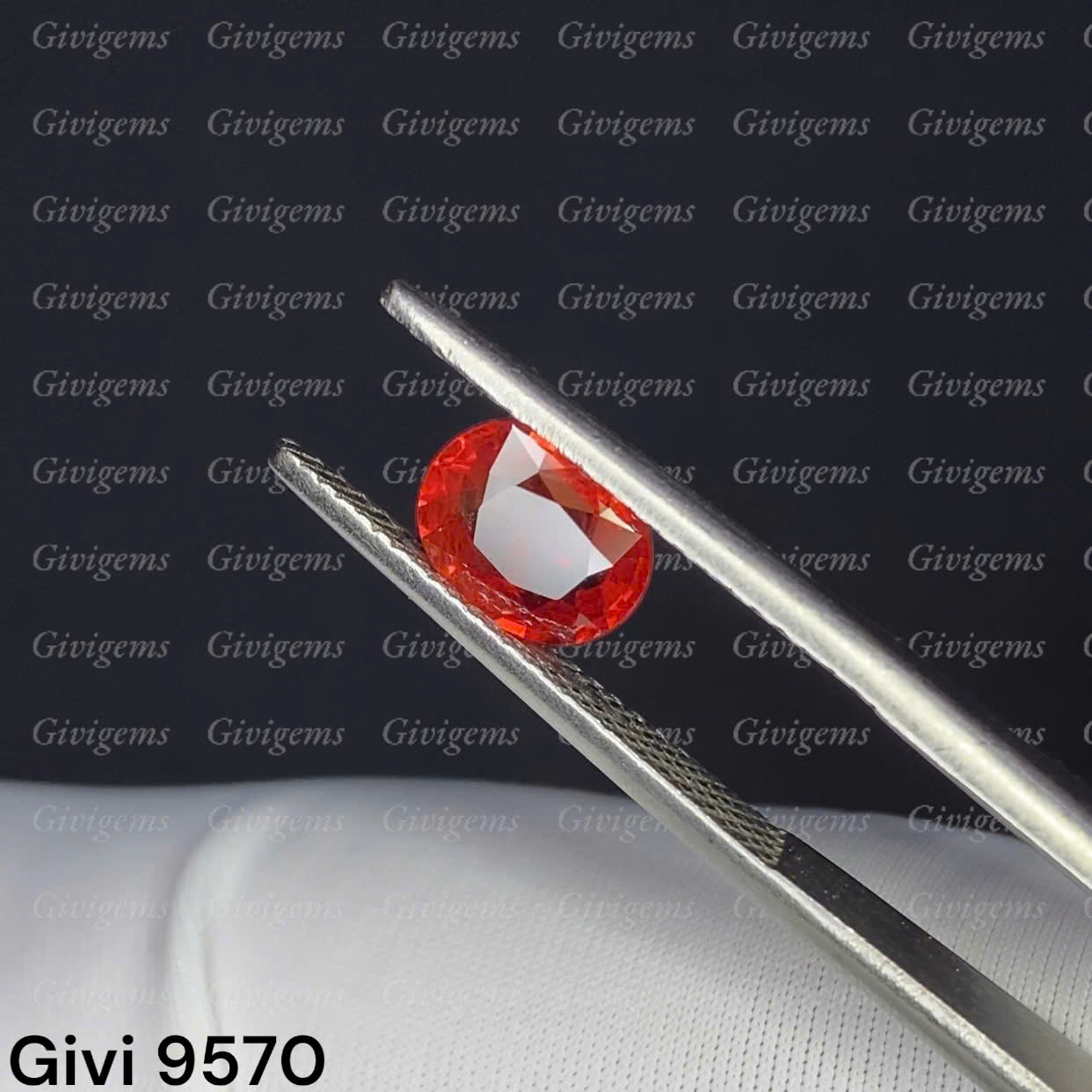 z7154124922475_bf6ff1cd066a1c88dde05cbd1bcad3a7