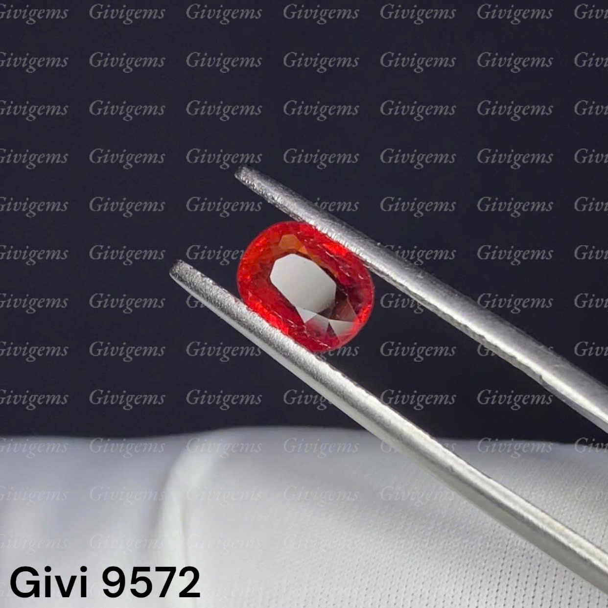z7154225704099_7f515245d97403c26ad910af61f5b9bf