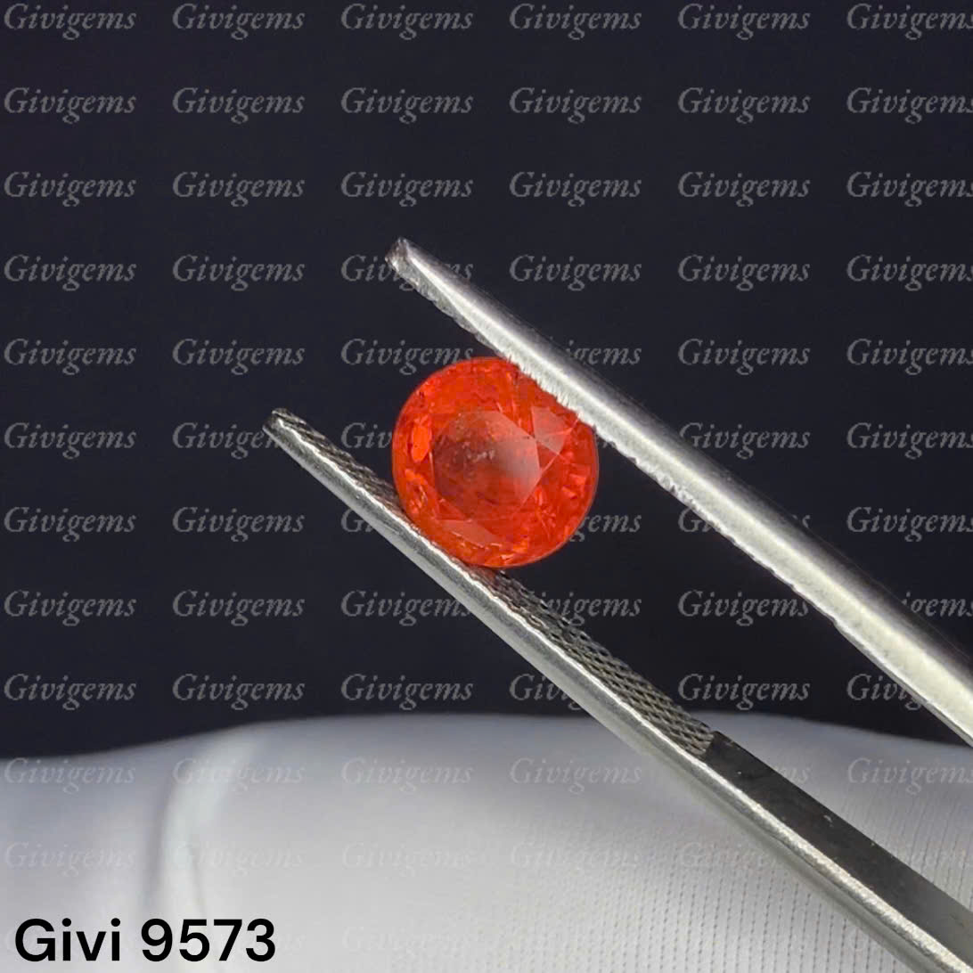z7154235858363_63e0045cc17e1e104a05f90f9b808e74