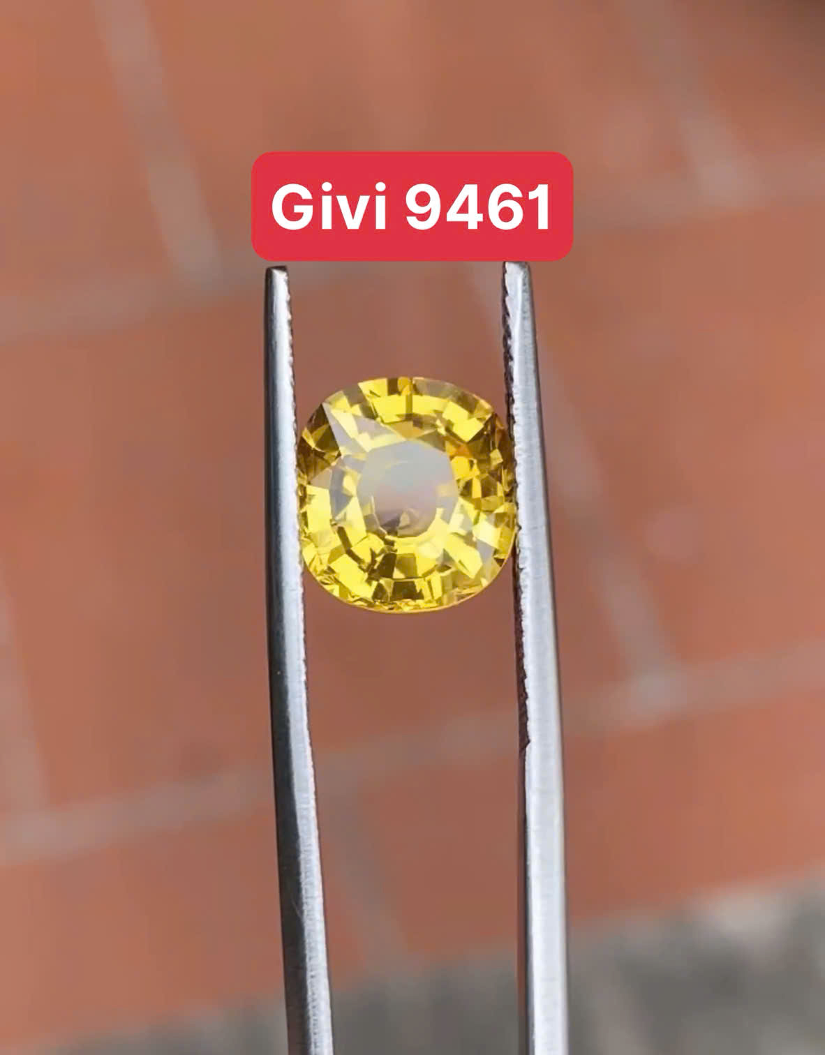 z7168209285725_3d385bd27022a66eb84efa9dfafcb8d2