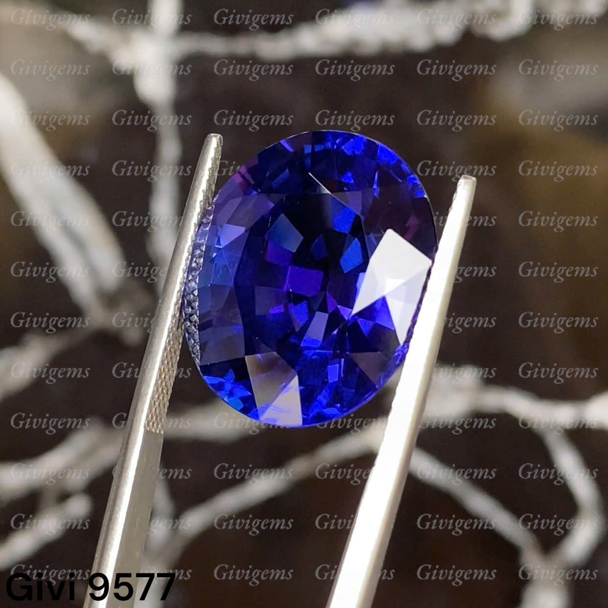 z7179090986730_2210757d7009e6f05039f4d8b9f93b0a