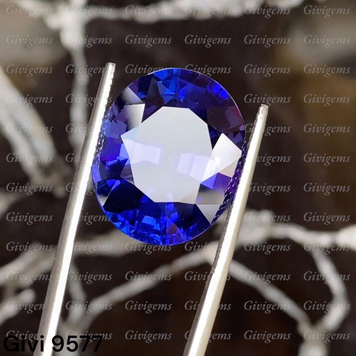 z7179090993106_b2c53e26fabe9394c3acd3166d5539a0