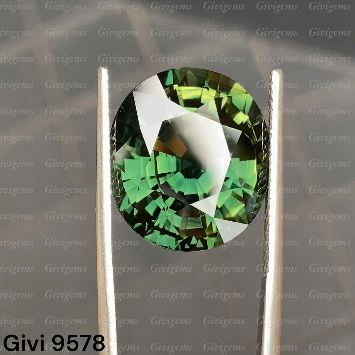 z7179158388355_a7ff43c793fb3ccad2c301d5ab3940a9