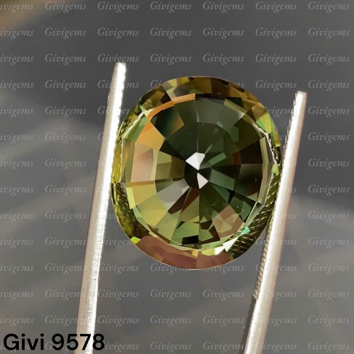 z7179158406625_3388556ded74f4fe065ec3fd931418b6