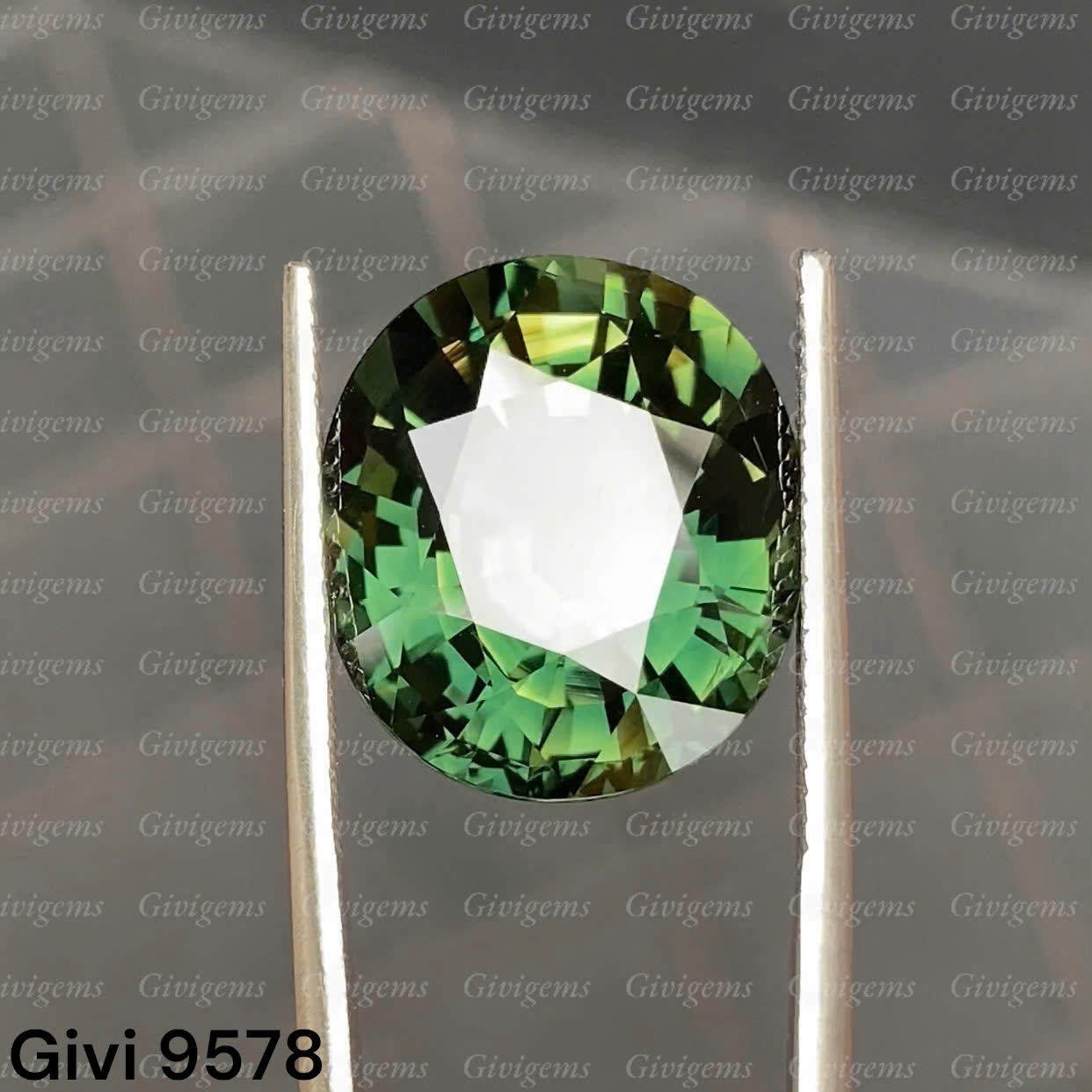 z7179158411272_d171a2fa243555d527991294b70bae29