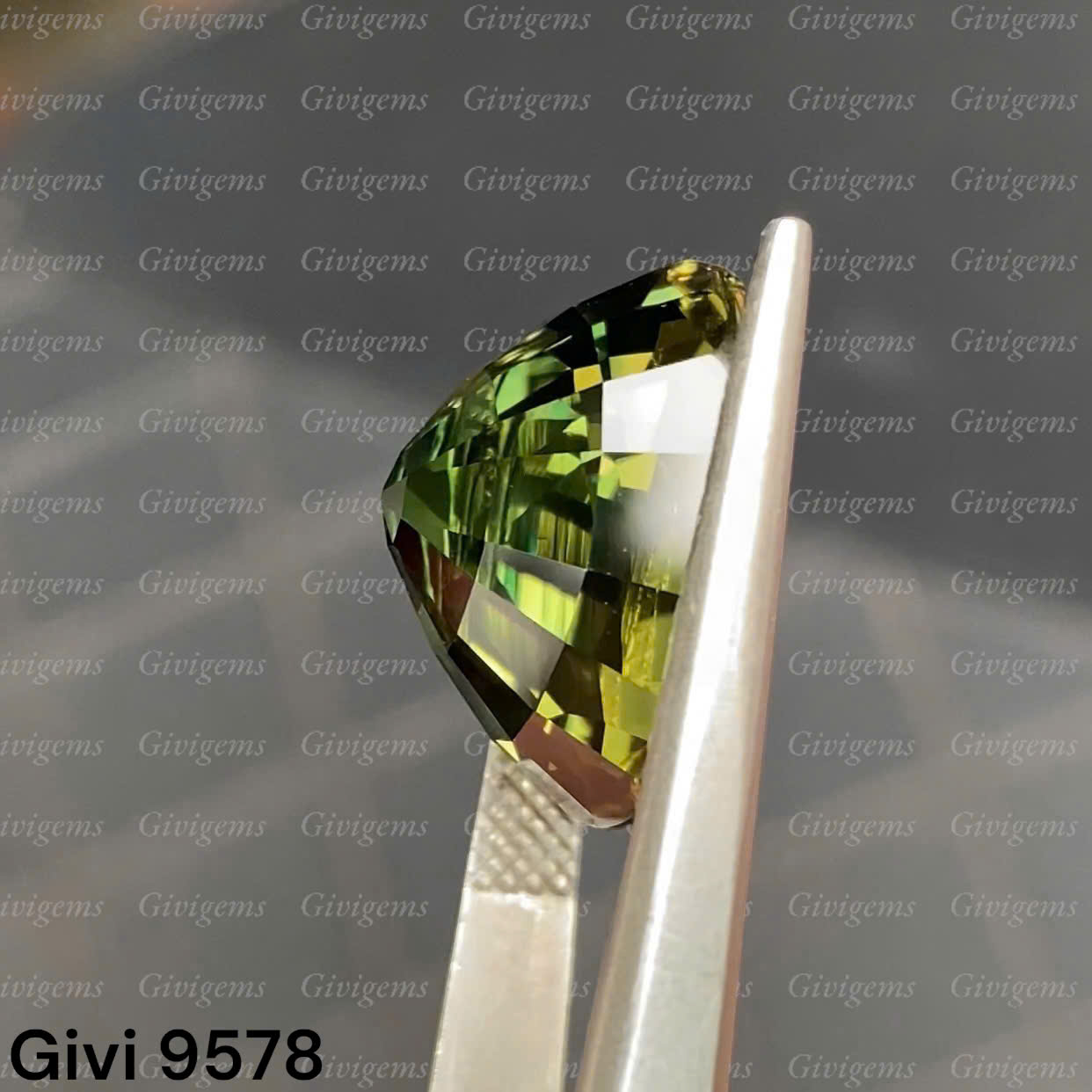 z7179158422796_8c2bb9169d57359ba2a7bd08a3ba0fd8