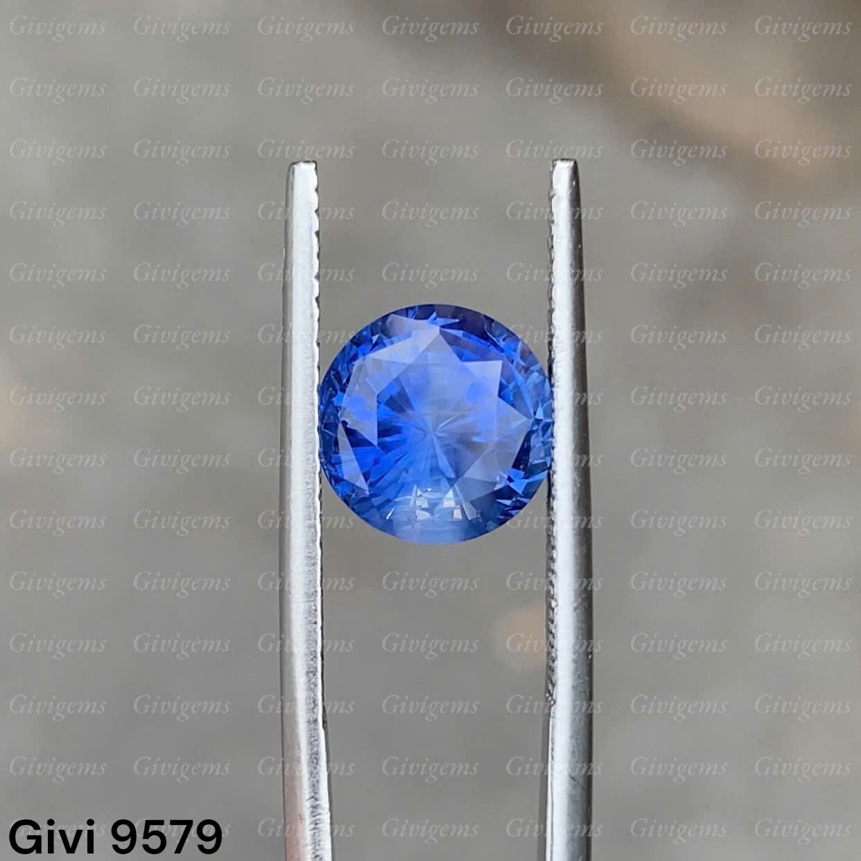 z7192028690167_0691f6543bf108343cf1129dbfa3e6ac