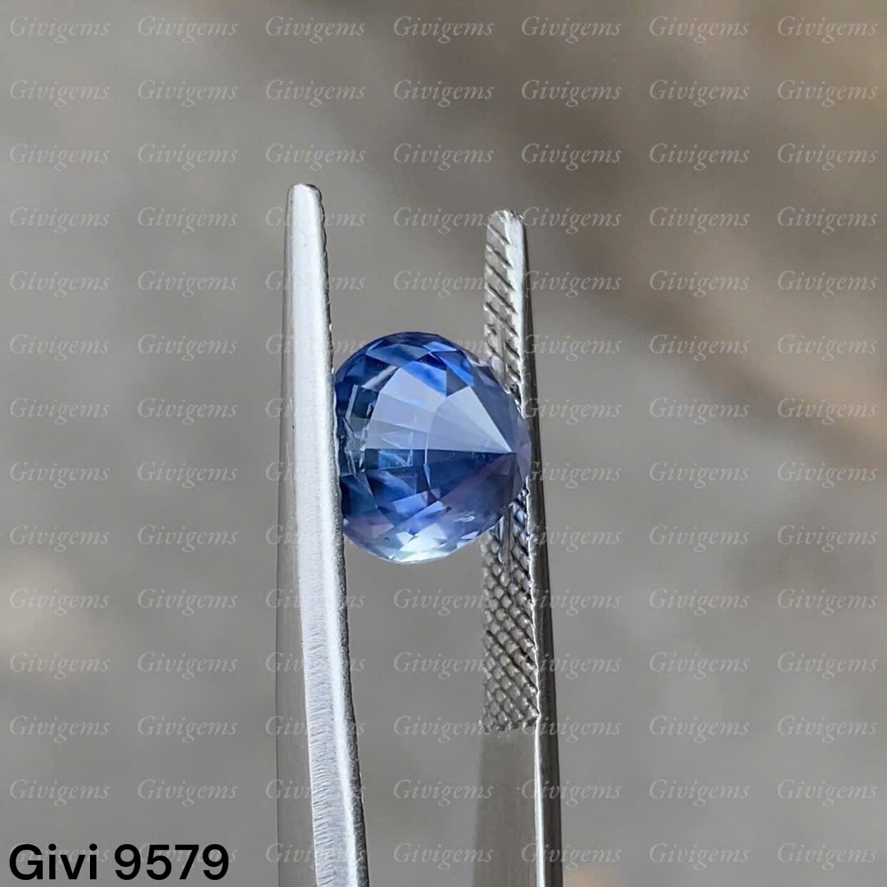 z7192028704178_02180ee1645c0b644ad7606d28e8695c