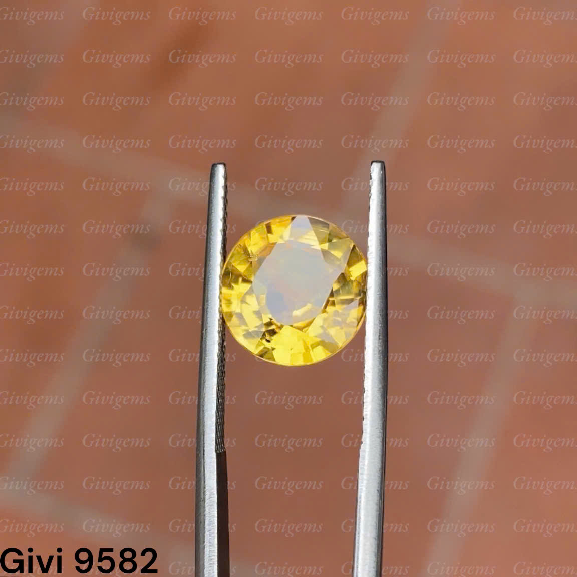 z7192213030326_d15e75357037c85e6762bc7c042cd80e