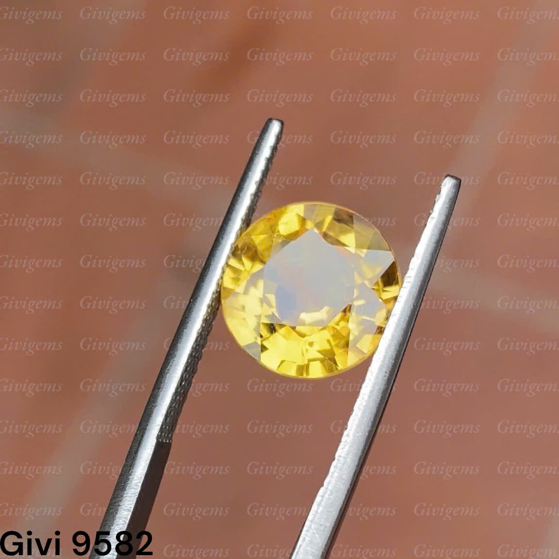 z7192213033817_66fe4938c46141f13a9760c22a4f5fe4