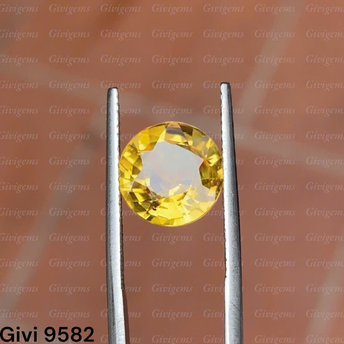 z7192213041218_4034562841a5ee66074f3c26603a220c