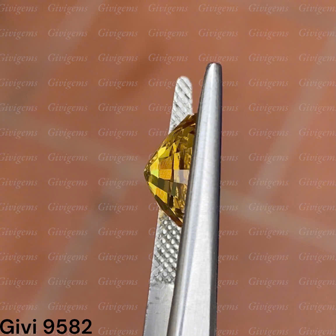 z7192213045356_5097958e23041d5a1de179d6e51aa70c