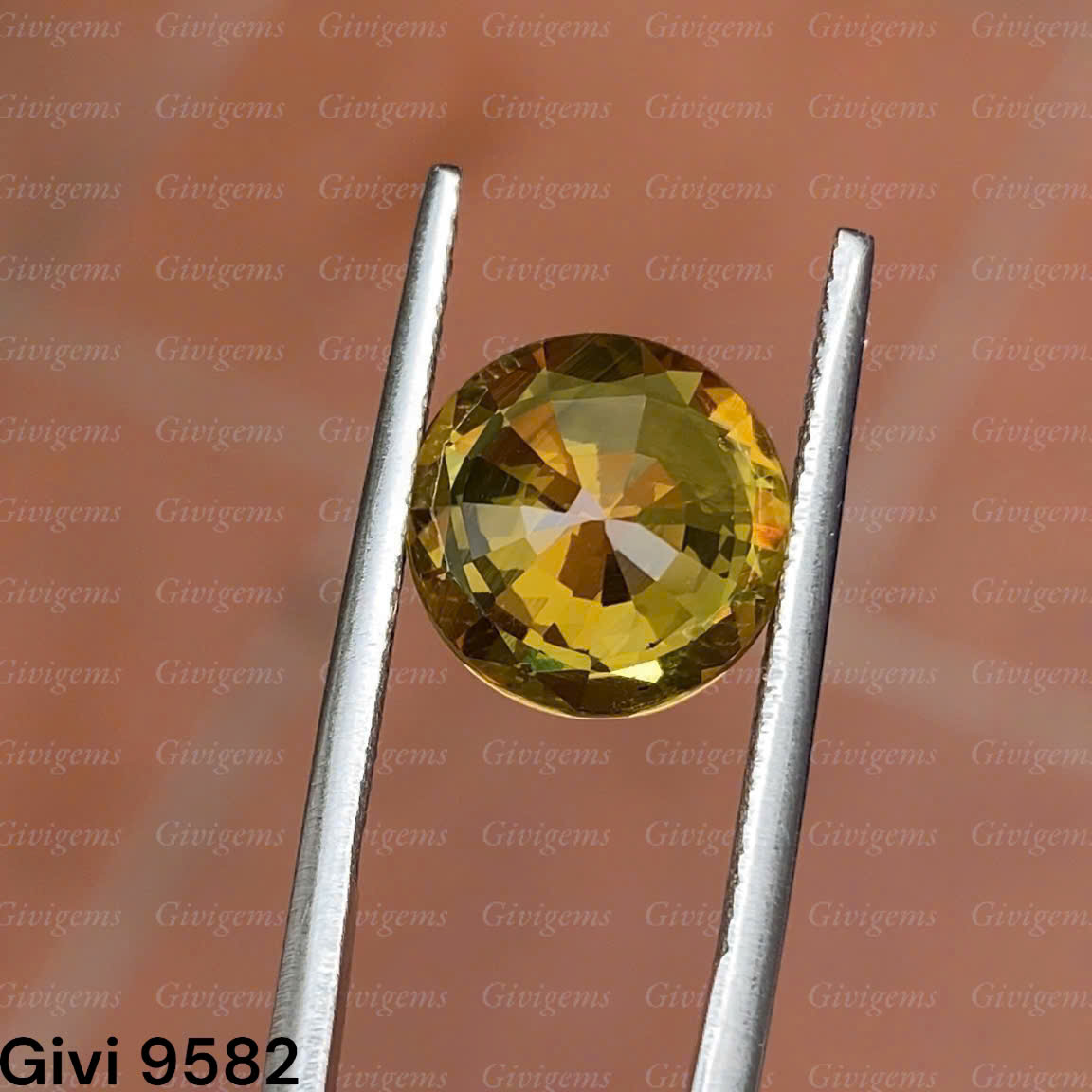 z7192213056075_d7b2700b76492ff191189c2b5bd294b2