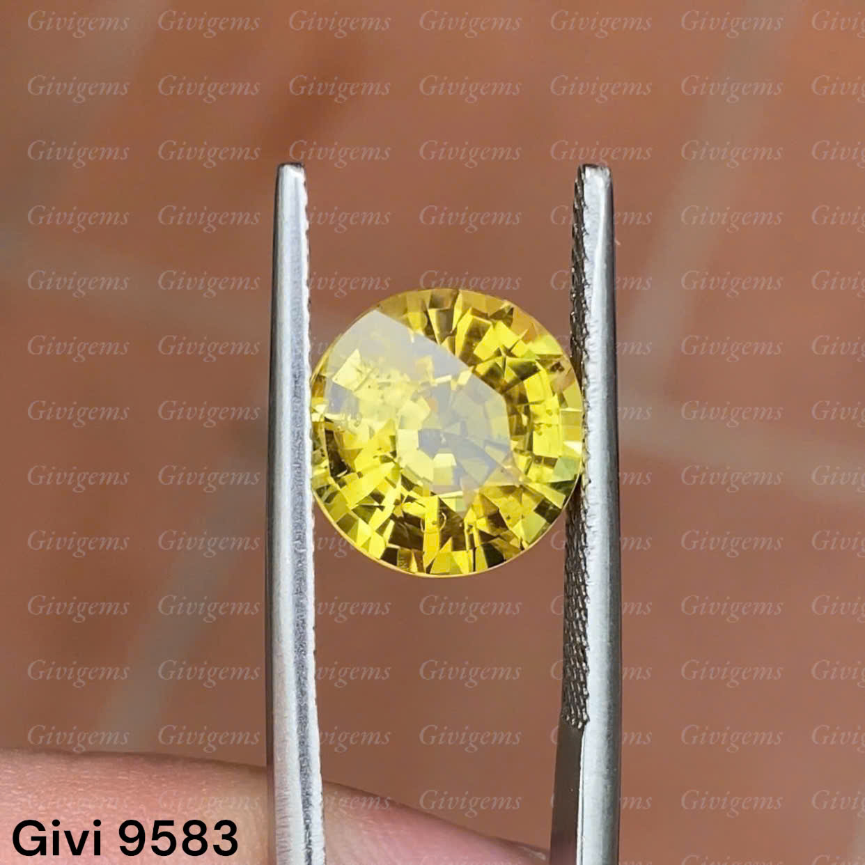 z7192243478330_c3210291813e08104e6ded7ea3aa2e48