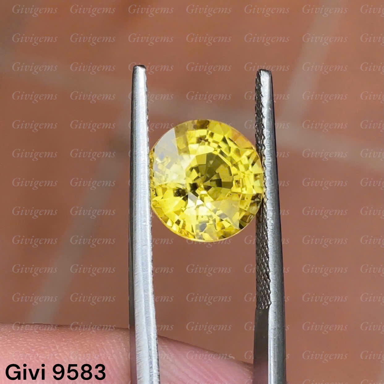 z7192243485333_4b5e3980fb164bc83ed9c53df2411f0a