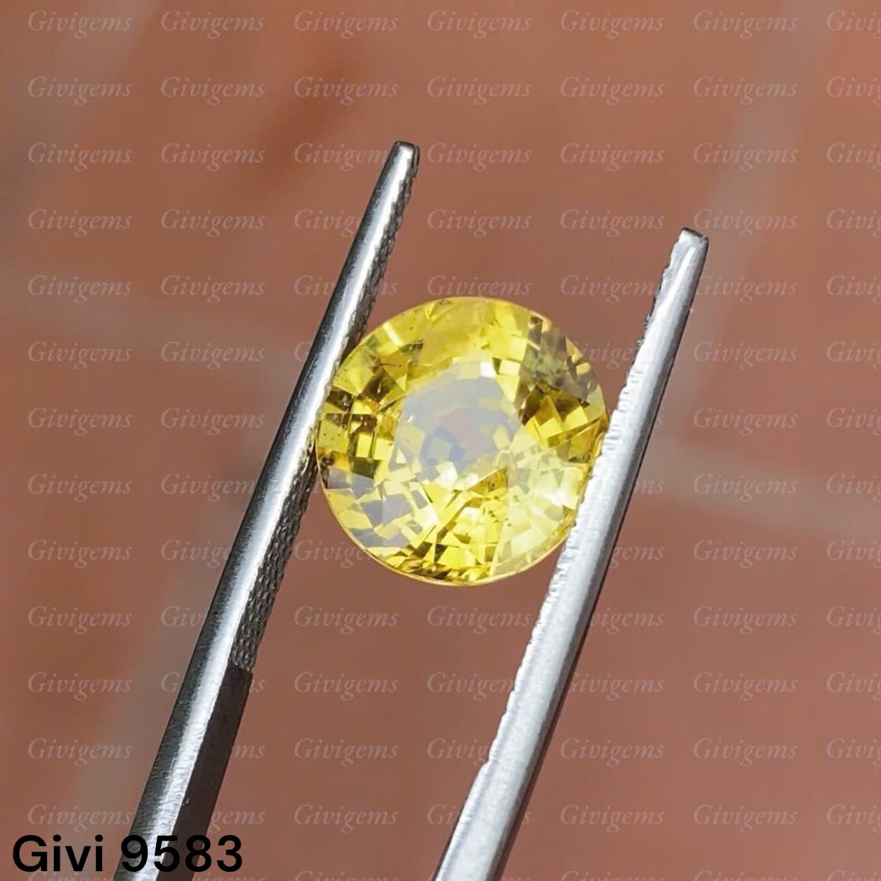 z7192243491101_60999651e2e8fa5bea505c50b9b1aec9