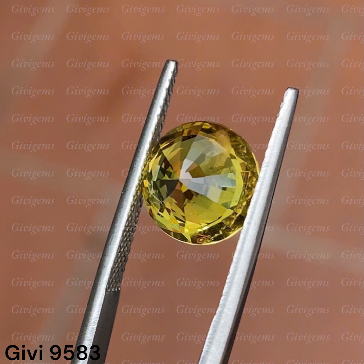 z7192243495429_7cca4622ba17363925e03d0abf52016f