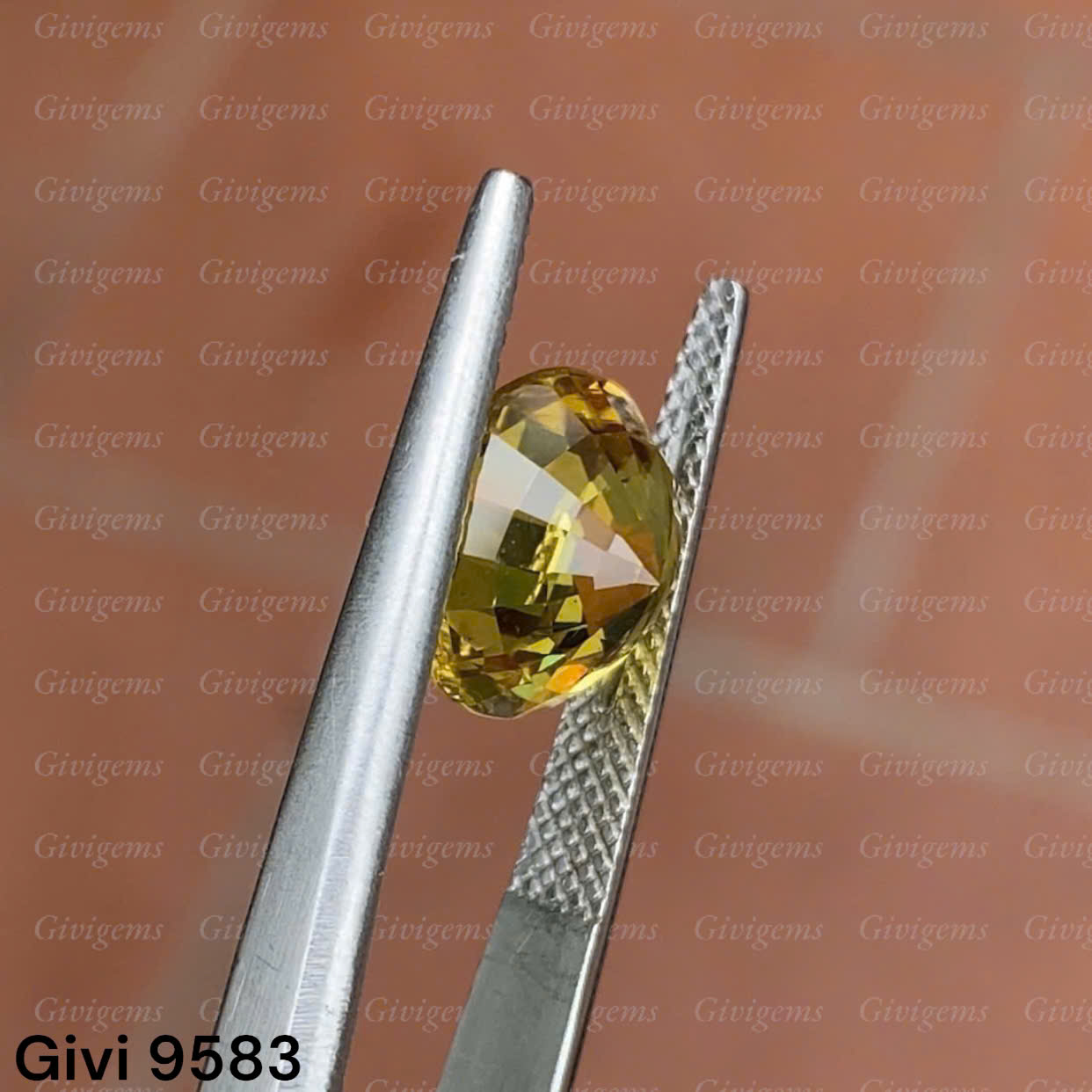 z7192243502719_109e091d0a8d8d9e7caad2ff4b87bf65