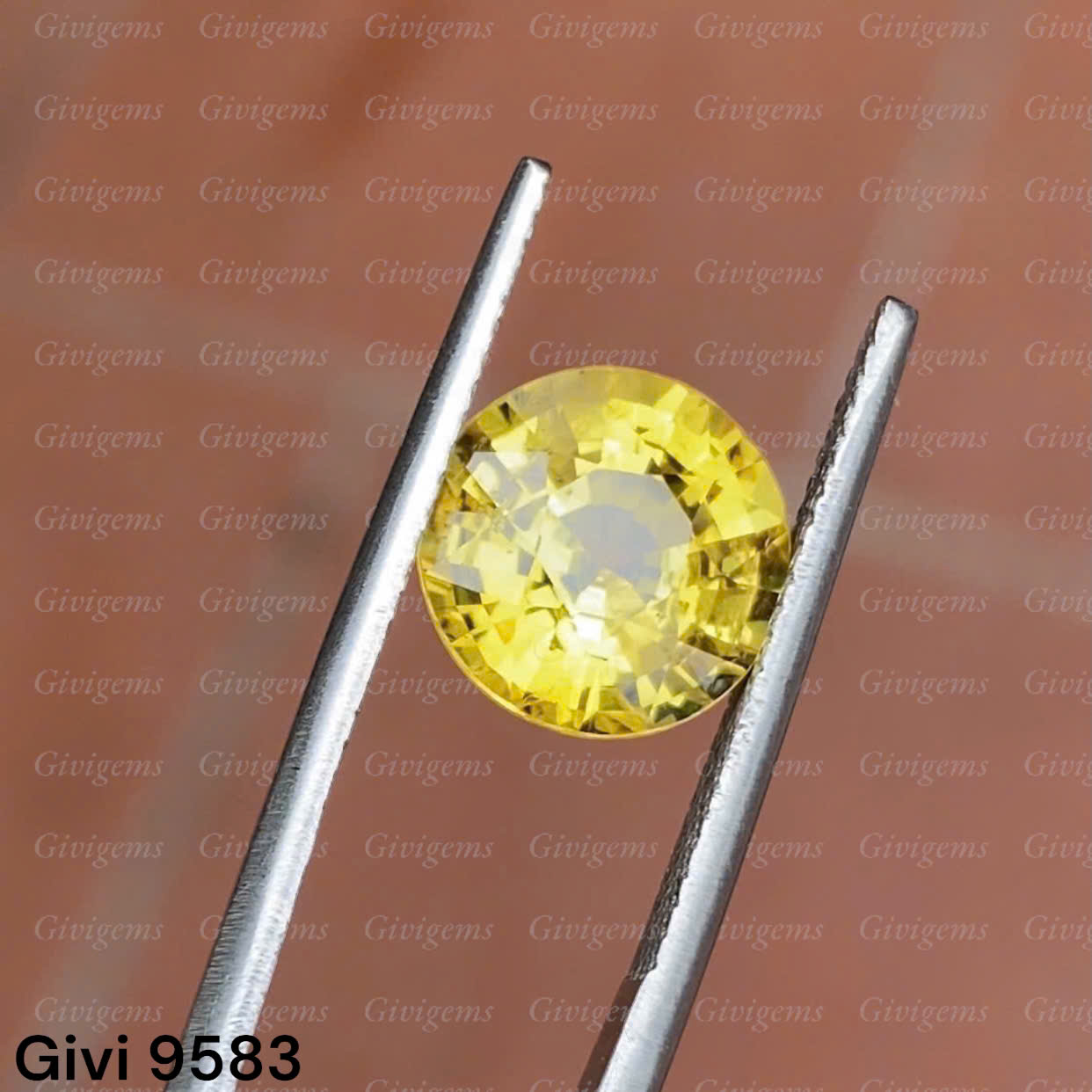 z7192243507376_777fe56283715783c7bb11ee90f4a41e