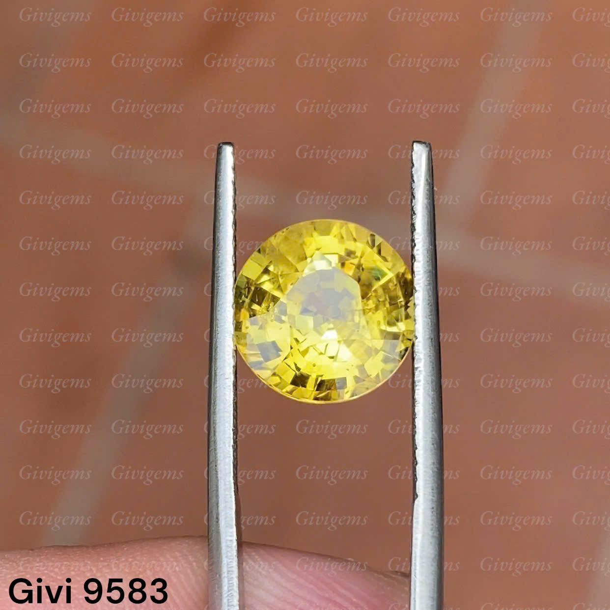 z7192243513001_bb4bfeb1c4993a3193801b487b263313