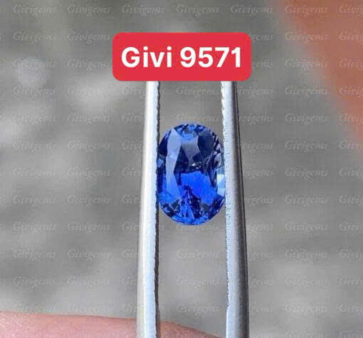 z7195029858053_ddde8141ee9992b8353e5061f7a812e5