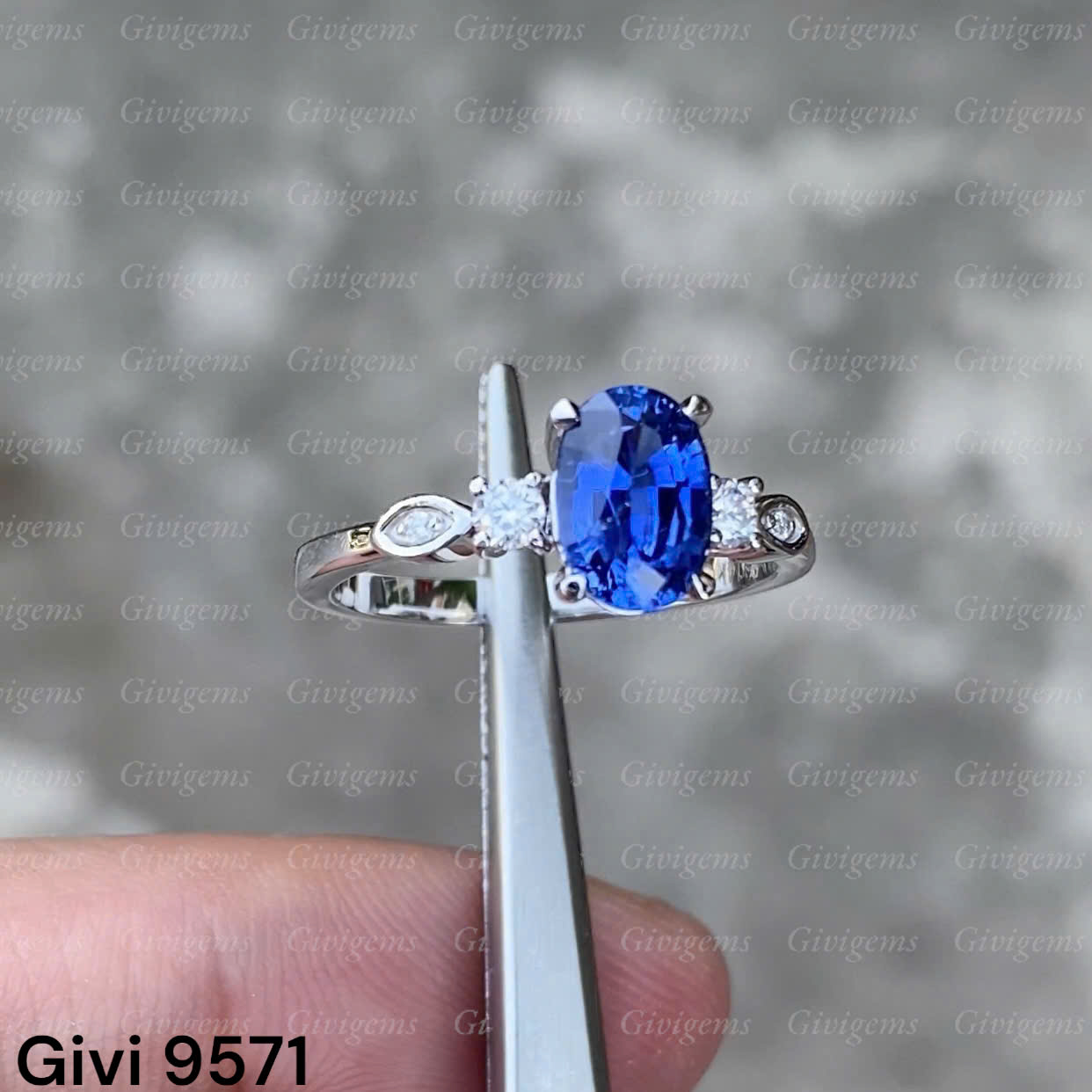 z7195099205165_1442a86bbb0cc3e808c8d541345c9f09