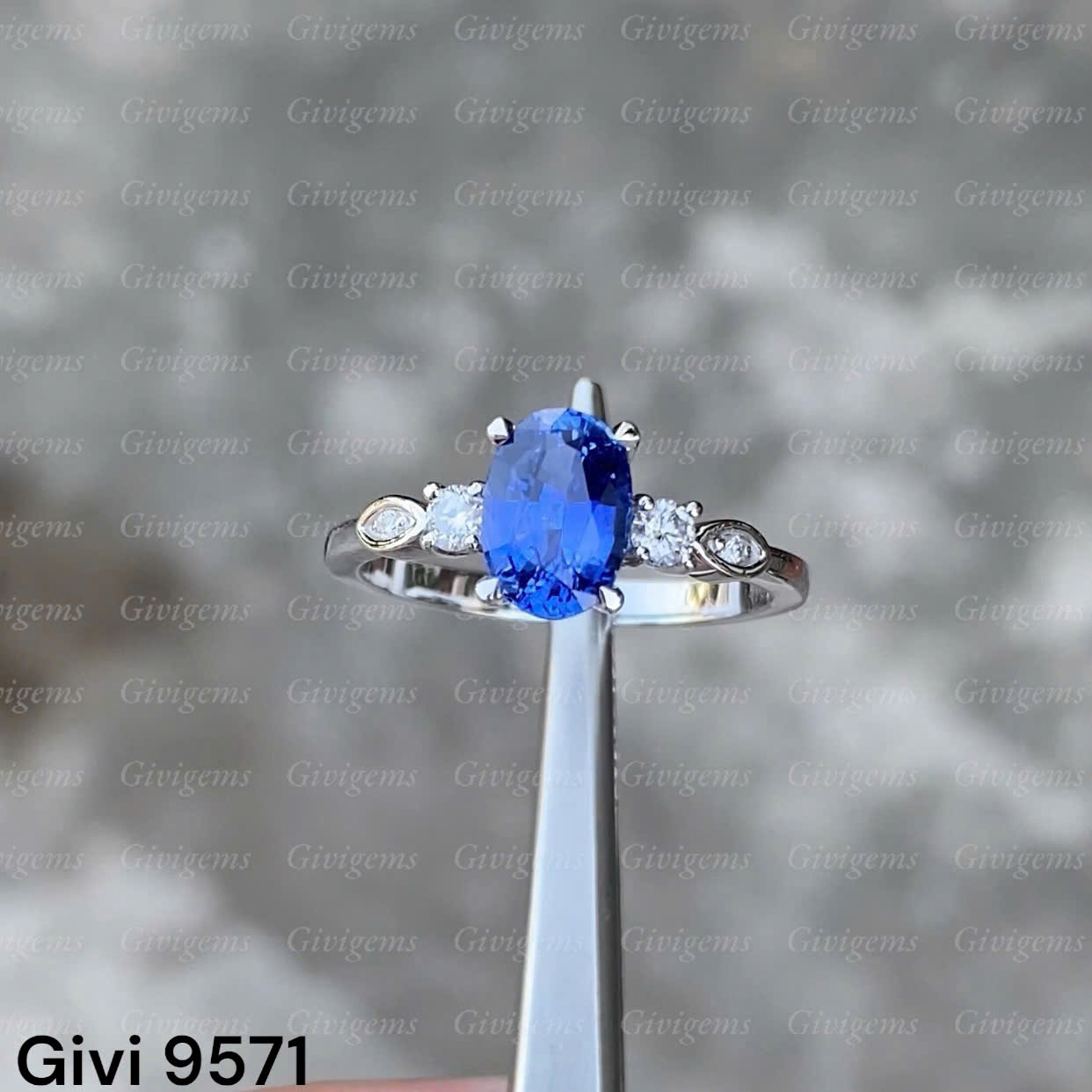 z7195099223487_9c77319cbc927301c9cc612493e2f287