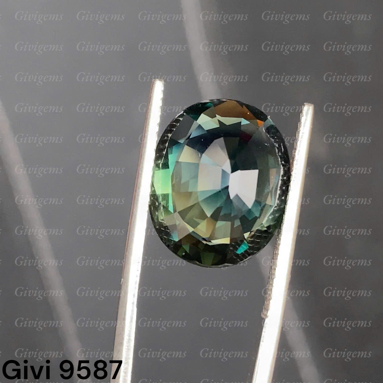 z7215721497534_05e7998f692069585966c5e3ab3a7b07