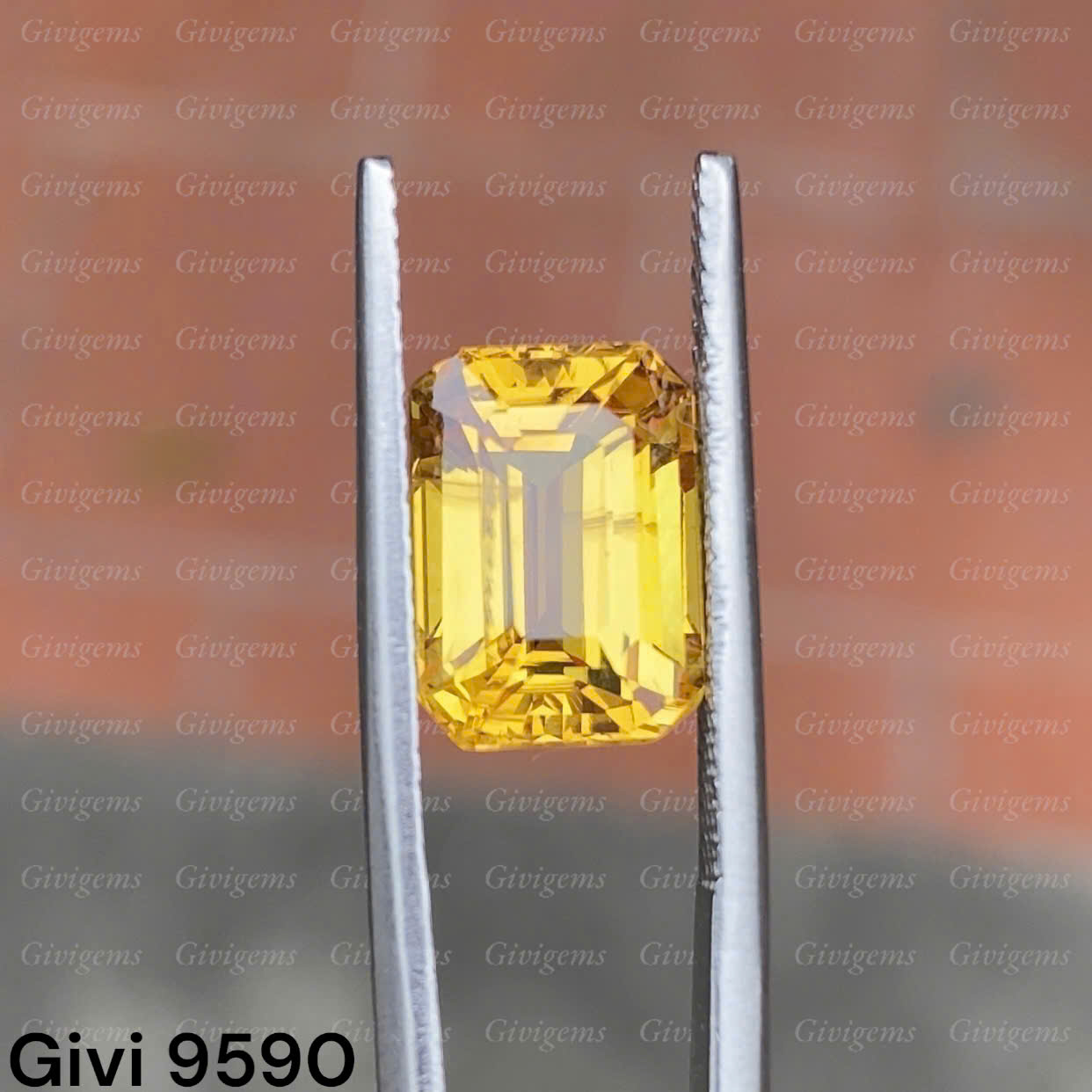 z7219715397278_59d3ea114602b338d745f49ffea6f1a2