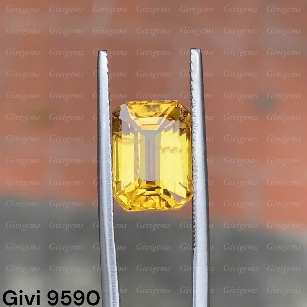 z7219715402735_9cff98be190fbfe1043b583579545635