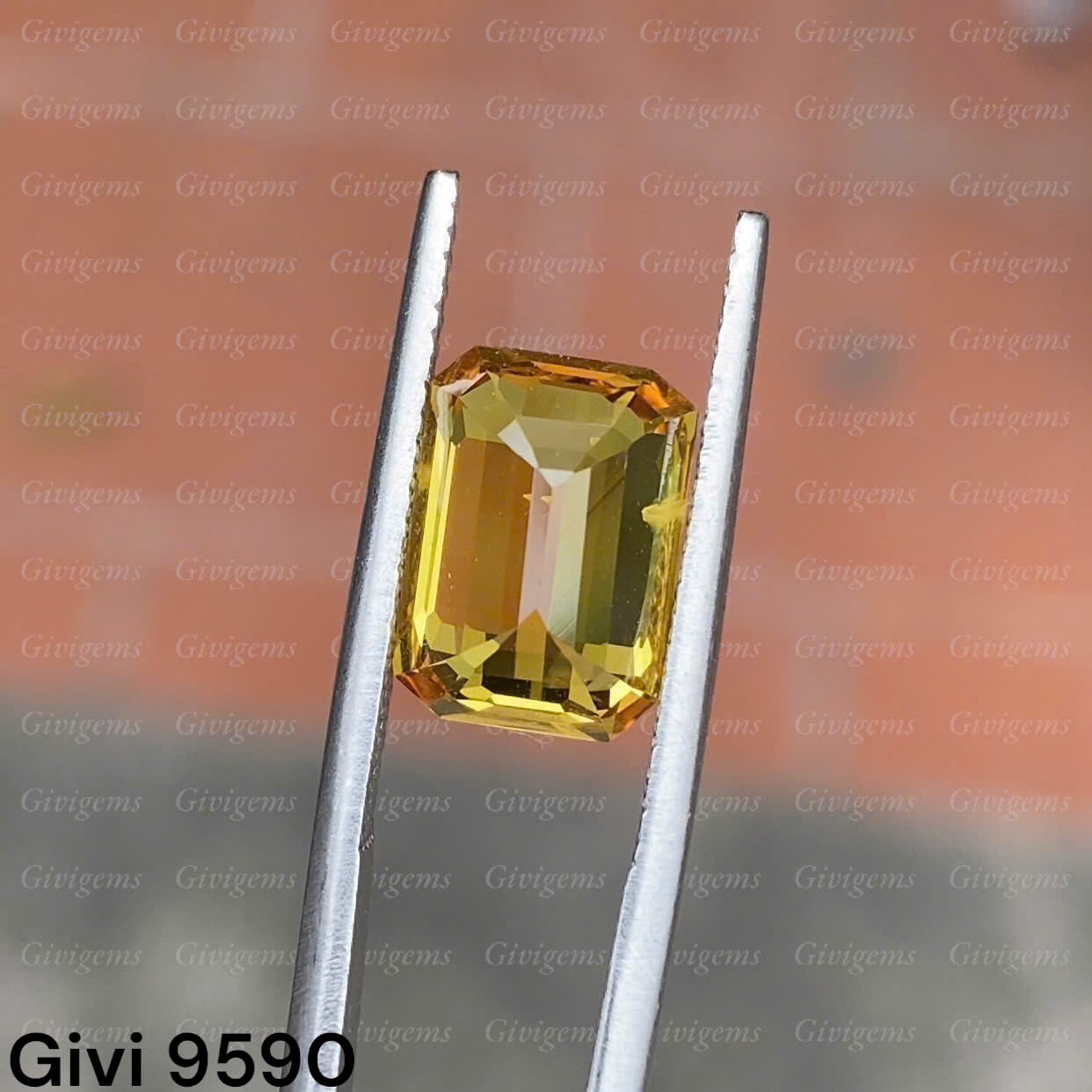 z7219715409835_379a5117c3eefd5332adf7ffea4bbdb8