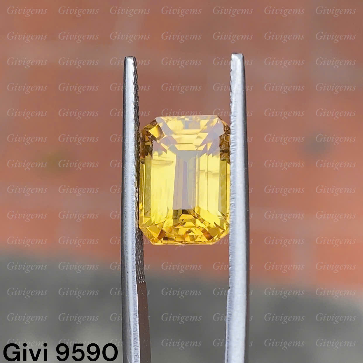 z7219715416956_7004173690630b4963bd83a2c45145aa