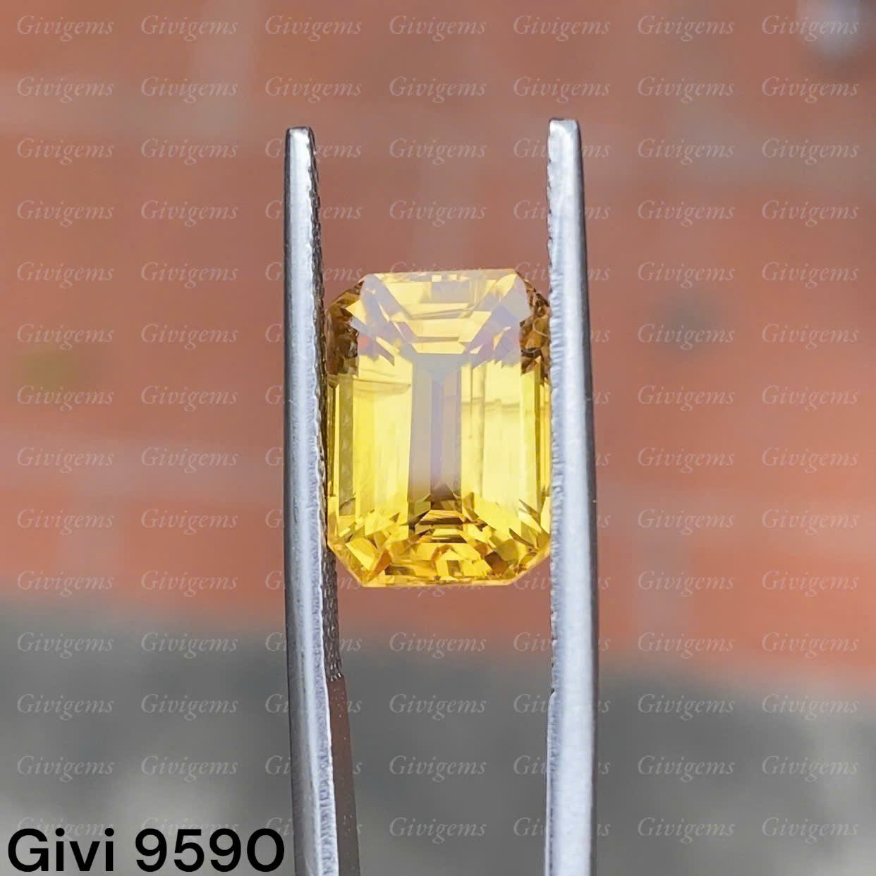 z7219715431036_7c6669c42d21da70fb410ca7d586d3d7