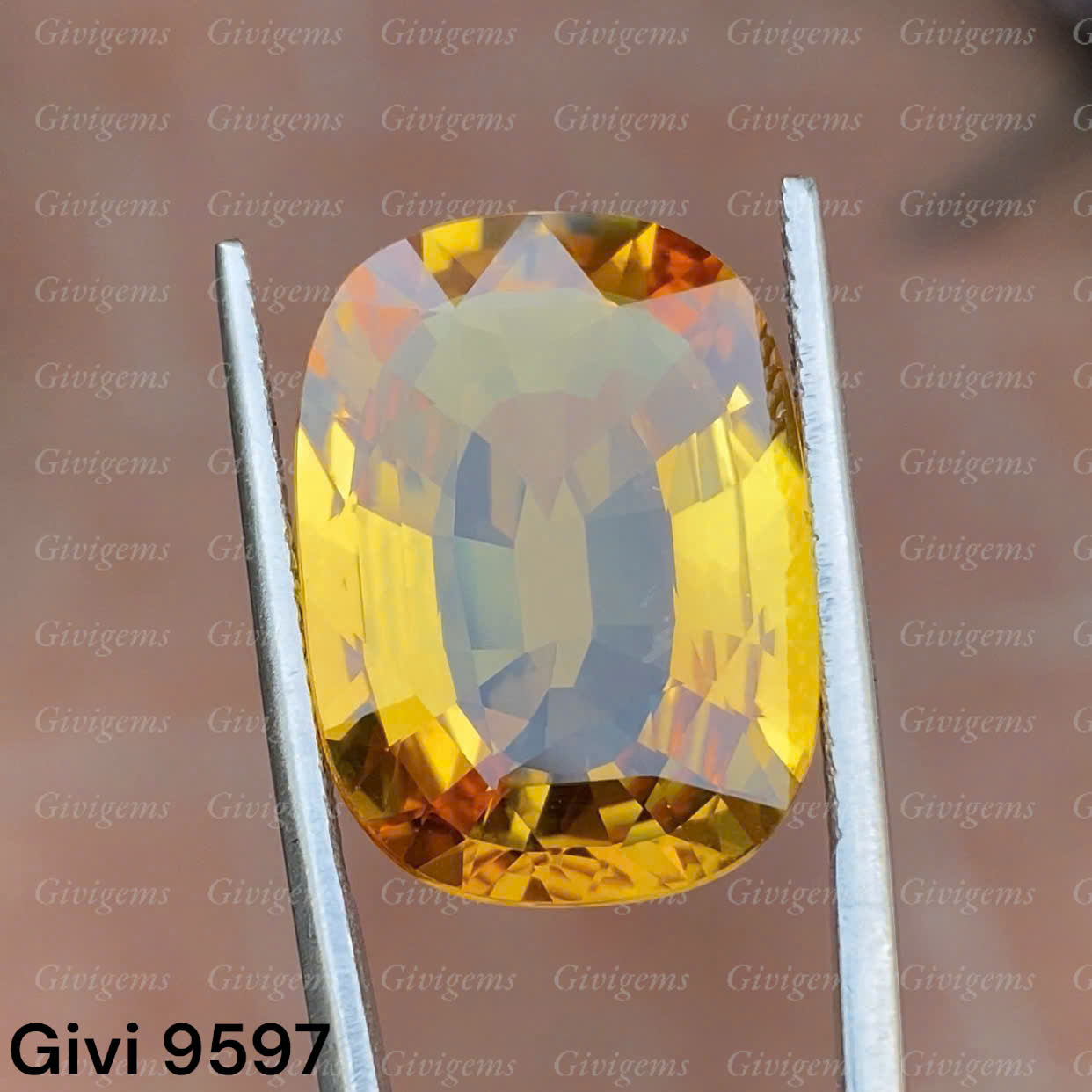 z7284918930619_b634df442be98d818c6c239d601f7bb4