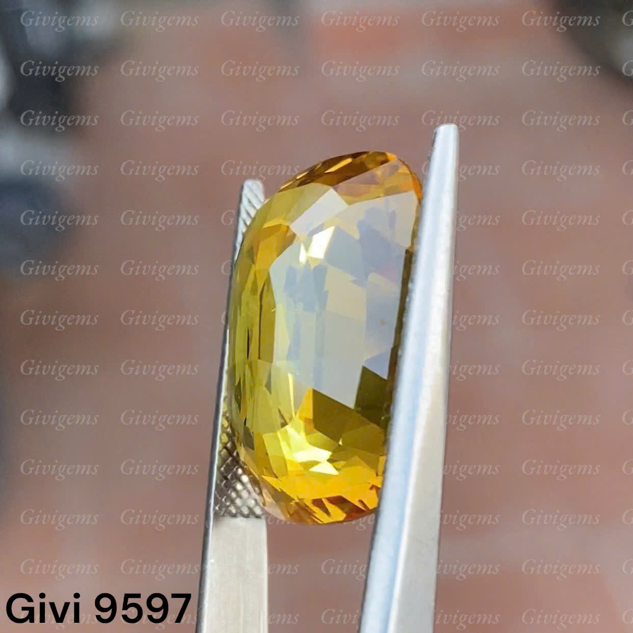 z7284918936576_254dac3088877f6d1a466a10a4c51bbe