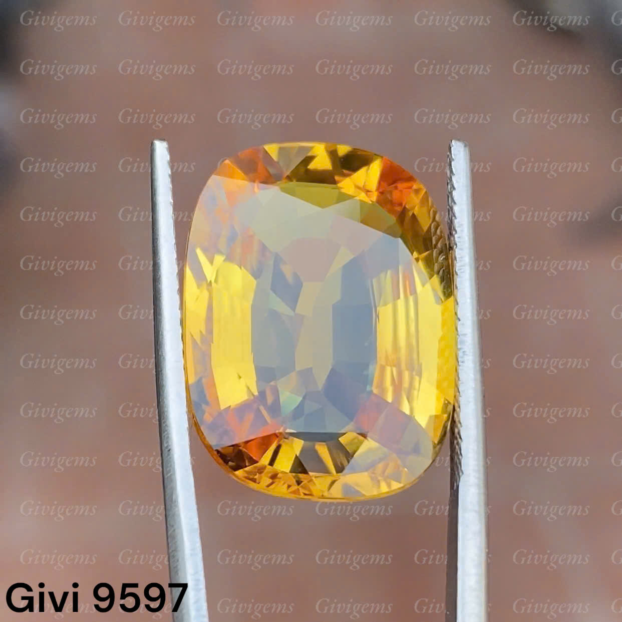 z7284918943914_7c431208aa30a1a05bfeda8141c99dd4