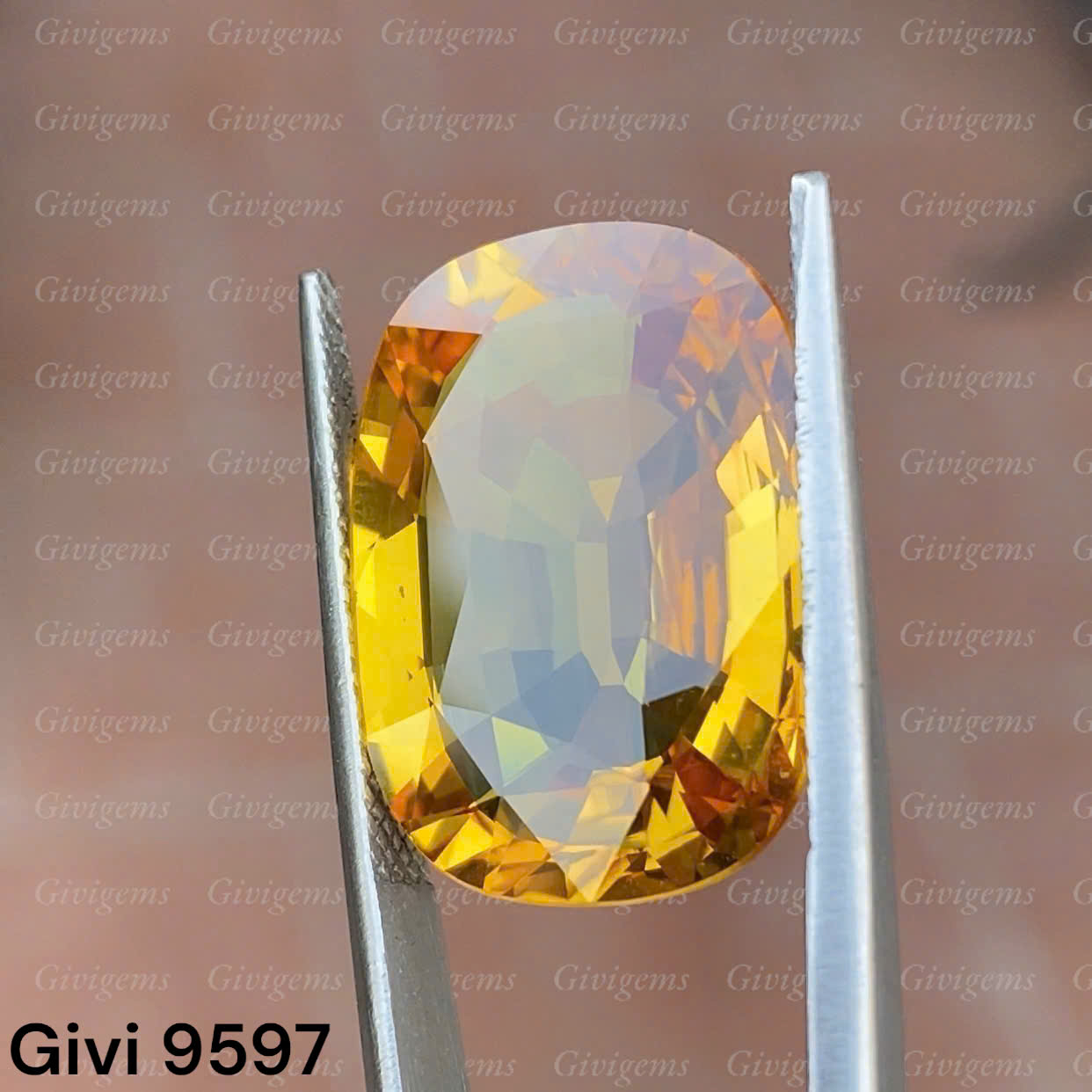 z7284918951868_7c202c687a3ab22b98fbcb699e398978