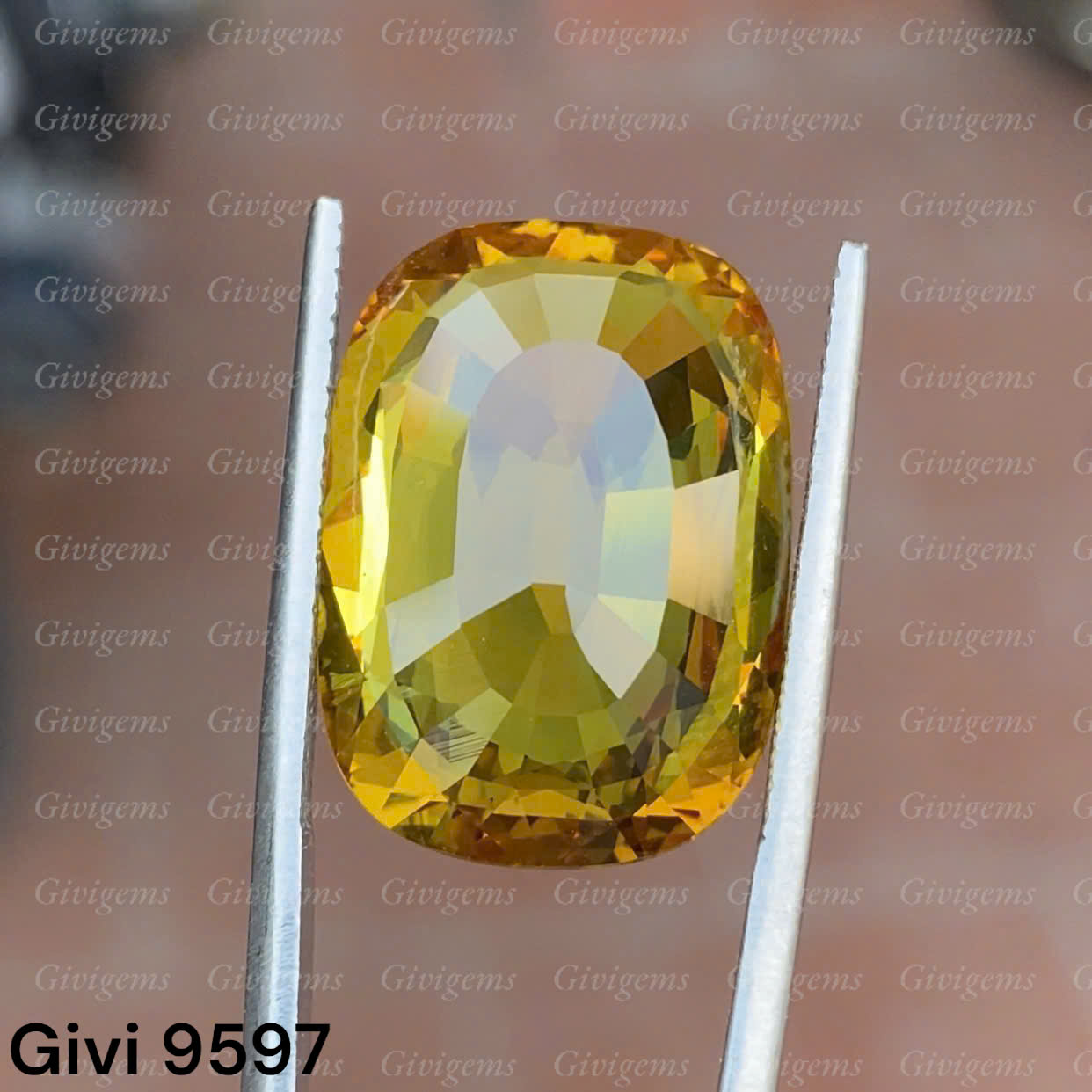 z7284918957119_c5bc63b0eee856b54a48e42089e69c00