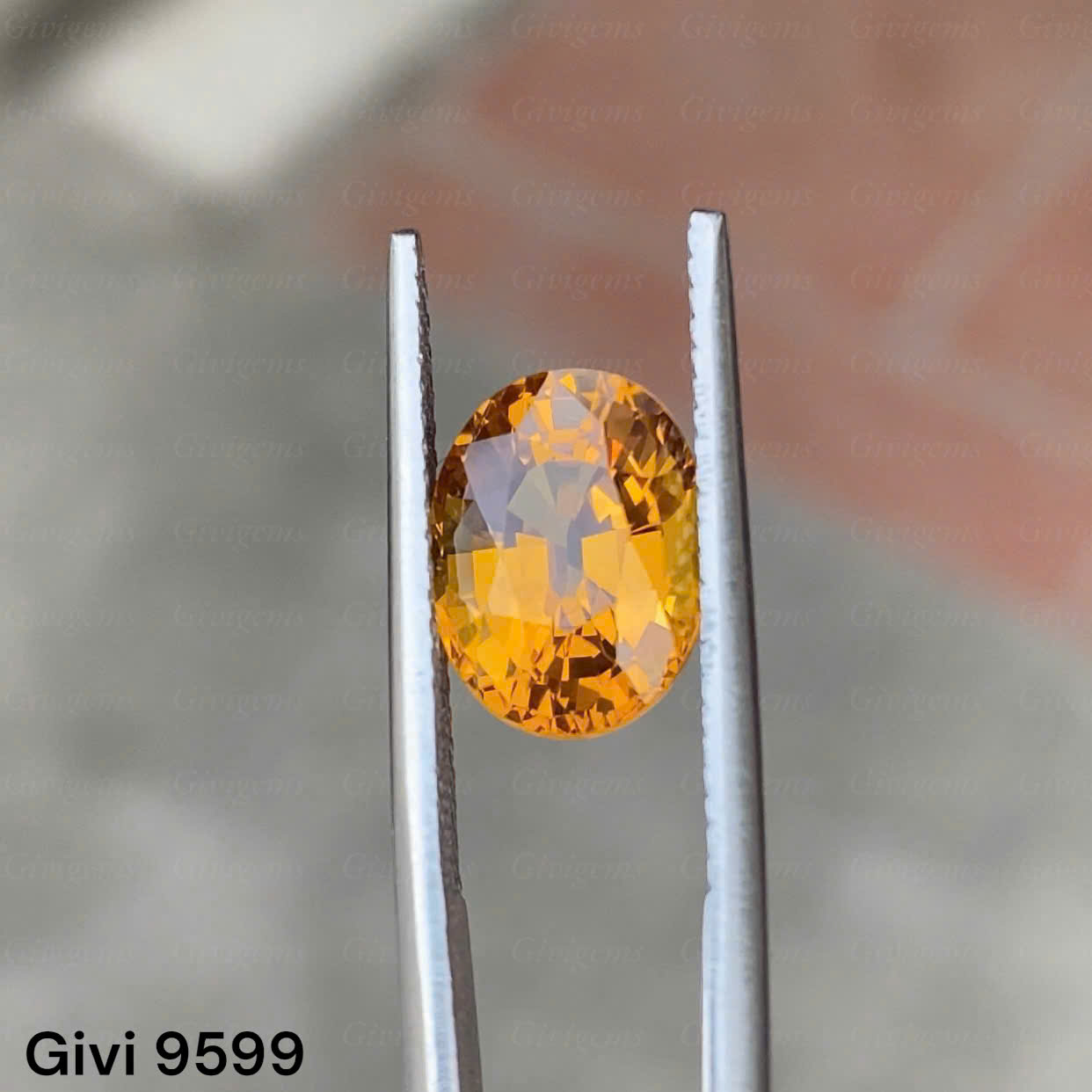 z7284975149165_edc4b58bc8383463fa98d98cacd179b1