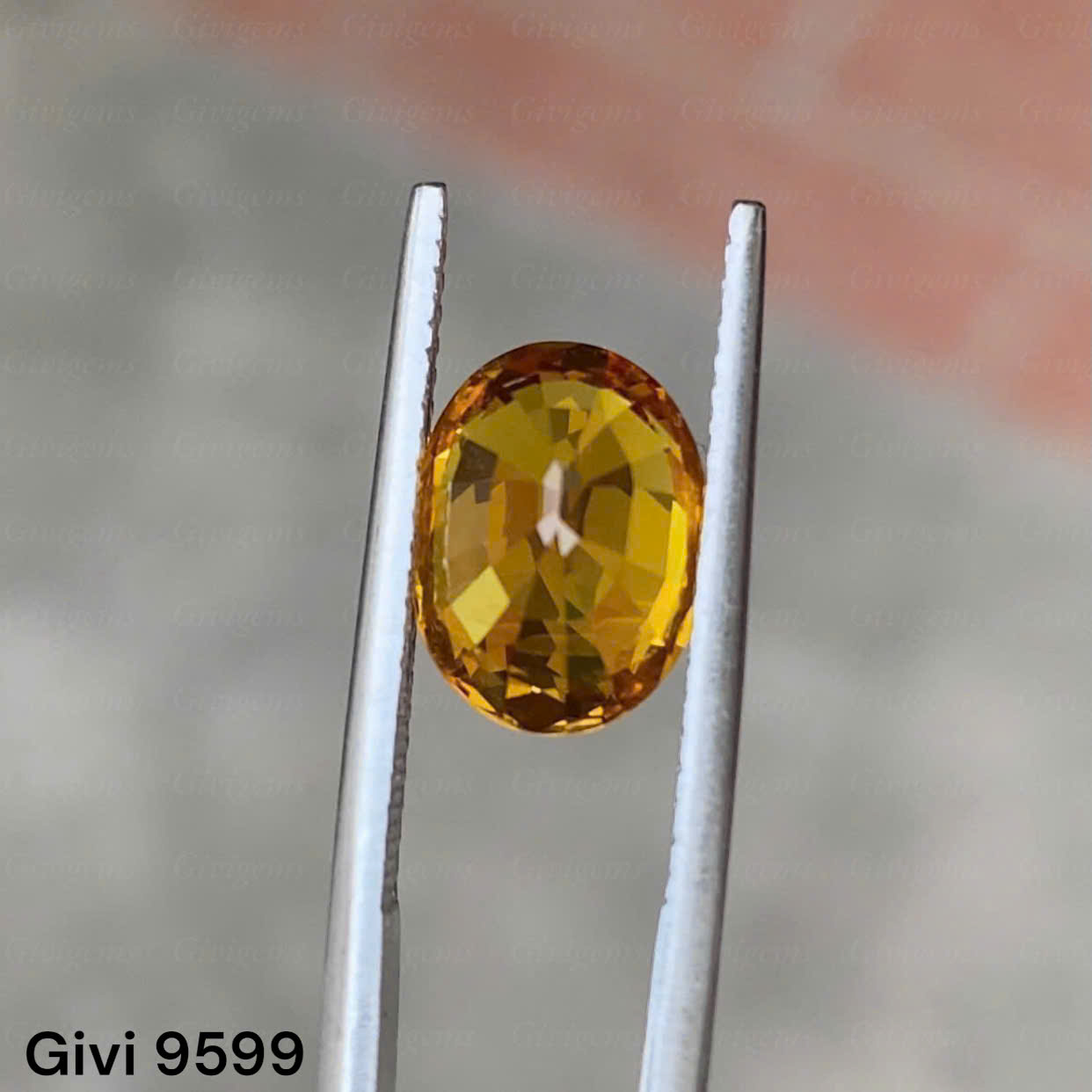 z7284975155714_286158d5468e535564e2f84a87e1657e