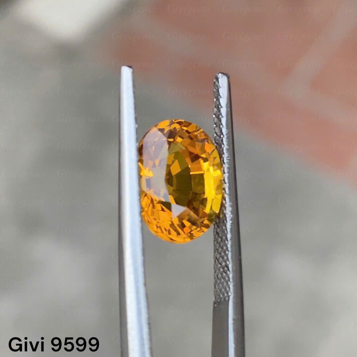 z7284975162020_e81b29eaae943930b5c9a4fb6f463ae3