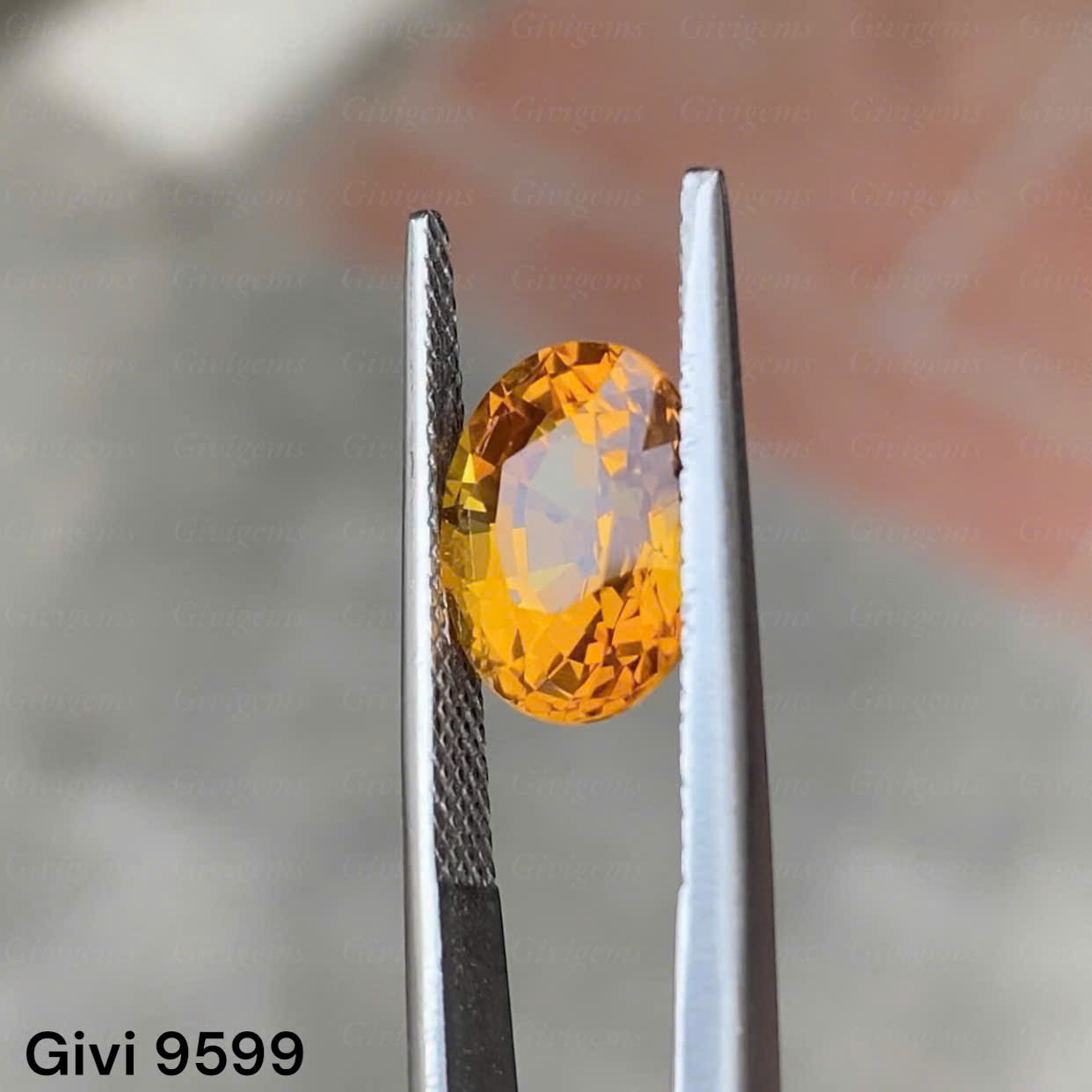 z7284975175591_bba871b0ee964e22fc629baa239e7fc7