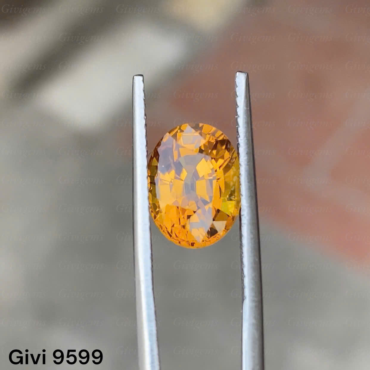 z7284975179791_2ccb107f6f92e320c85e2efda56852d9