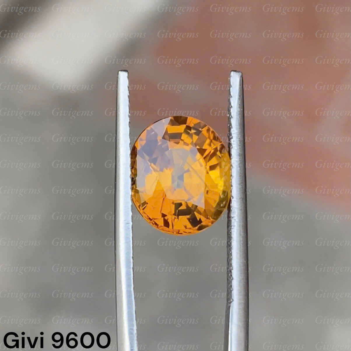 z7288479285003_6ec88570e5bb66e1ccf8e1b60c0ca6e0