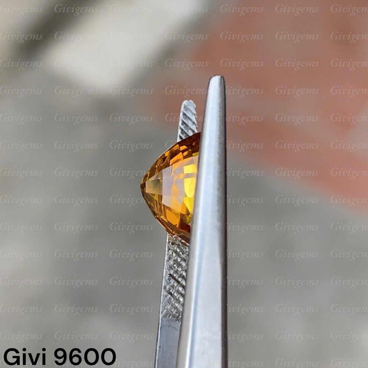 z7288479292712_1091ca19dd90b1f9bb44ec6a333b9717