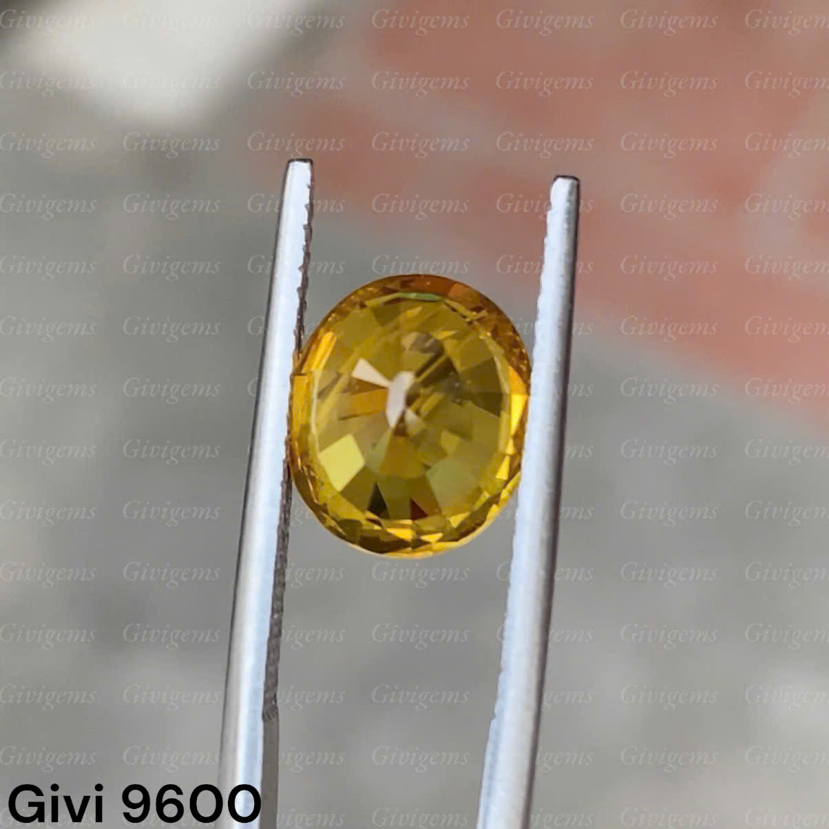 z7288479299821_c8549d84eb483a5b0961858d8cd76d47