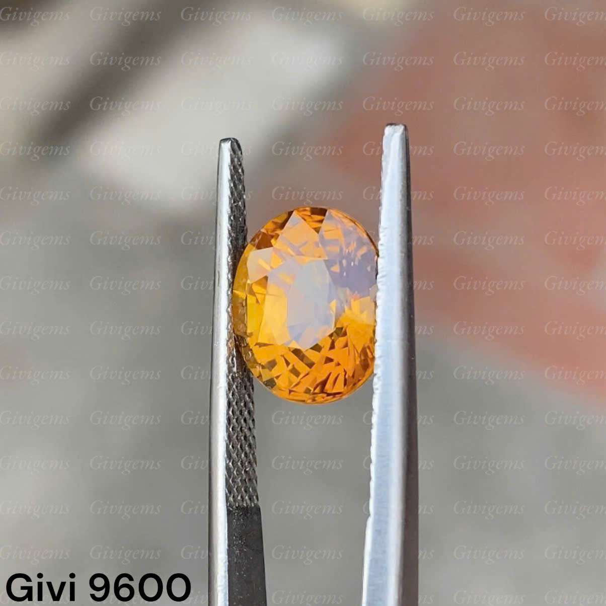 z7288479305744_1b0278d4301e493c70eacd54f316a572