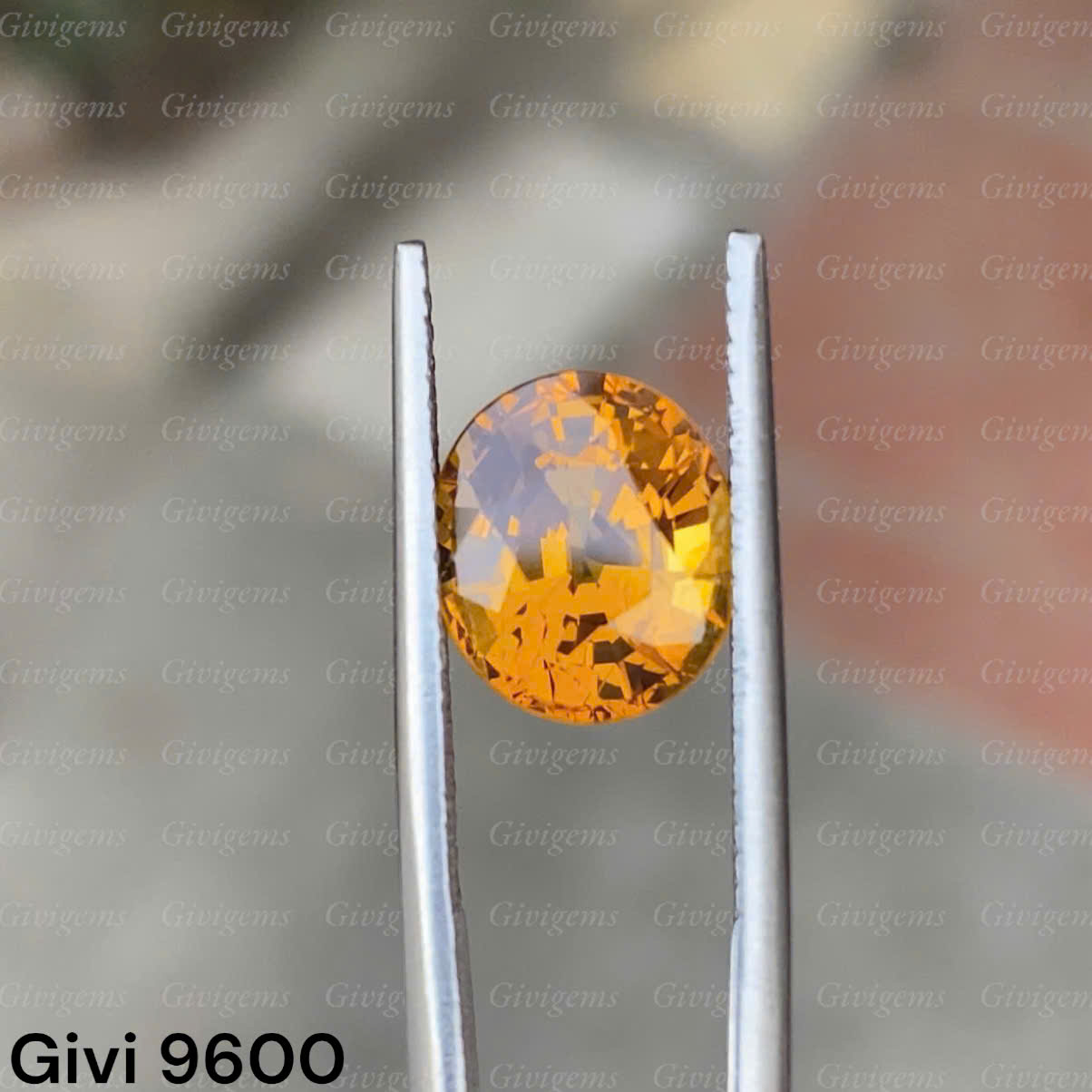 z7288479312580_60dbbf9eaaf612e4b69a8d62c6225108