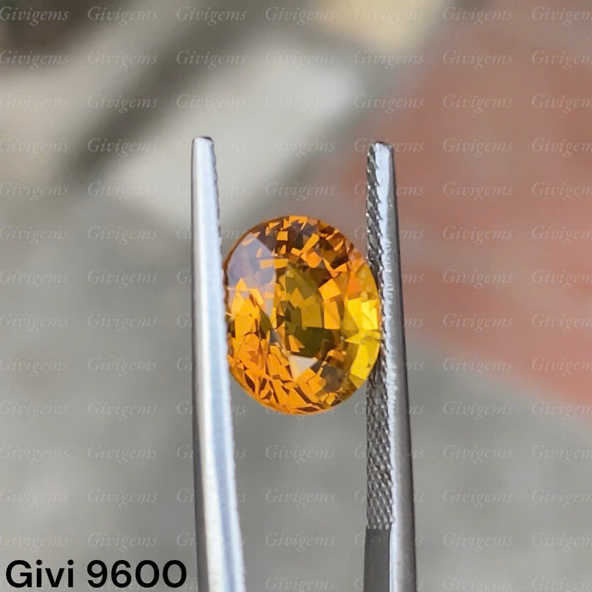 z7288479320667_bb46305149f8165b438c2278966cbd5a